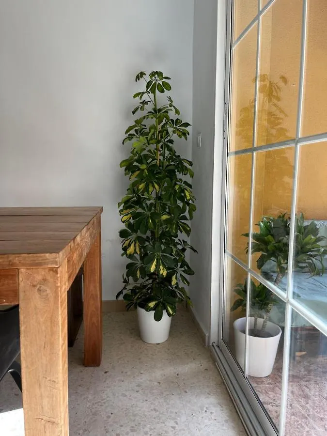 Apartment Apartamento La Biznaga Malaga Spain