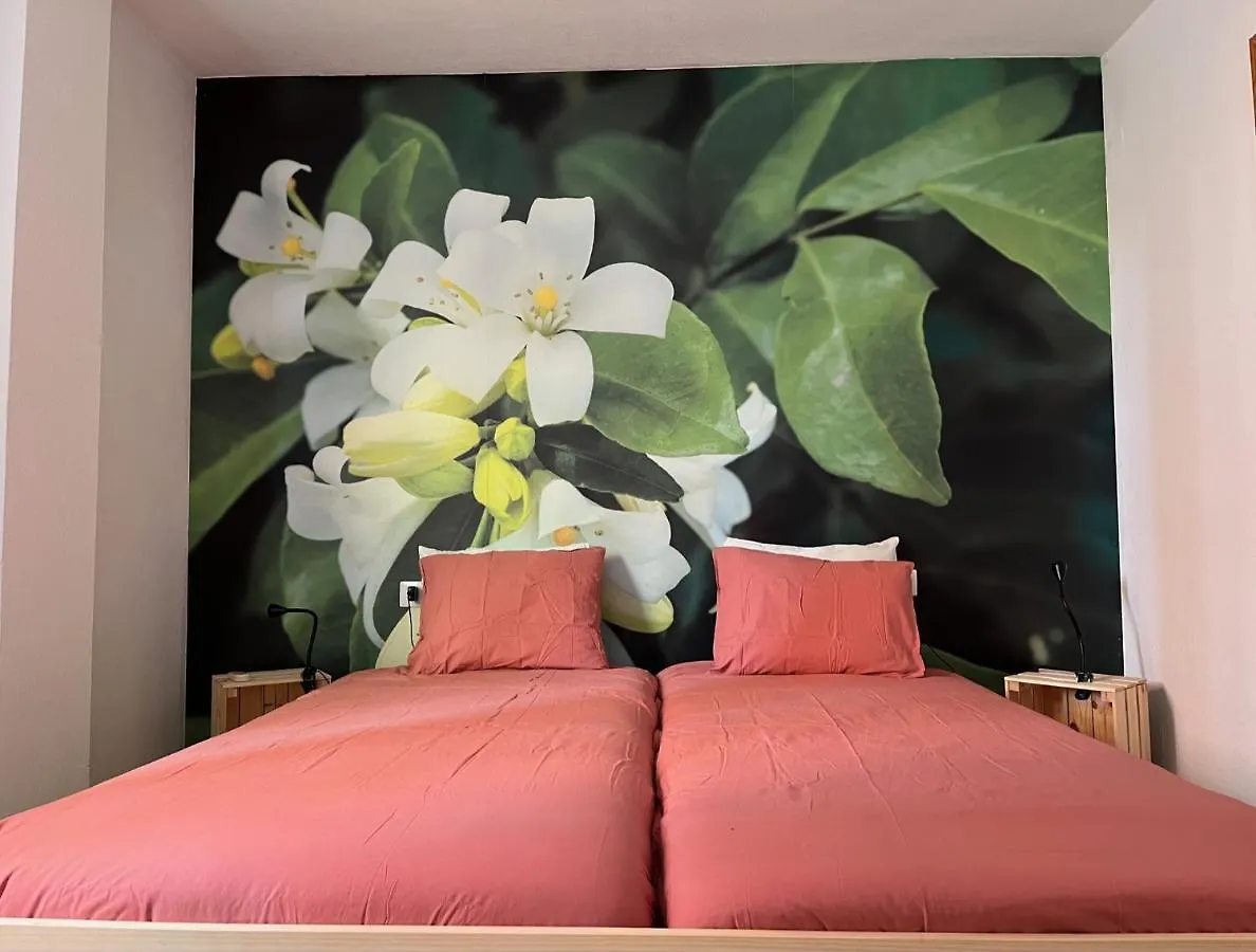 Apartamento La Biznaga Μάλαγα Διαμέρισμα